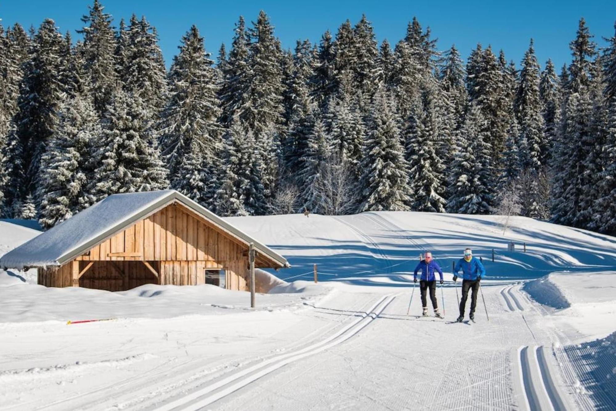 Superbe Appartement Au Pied Des Pistes -Le Chamois 莱代塞尔 外观 照片